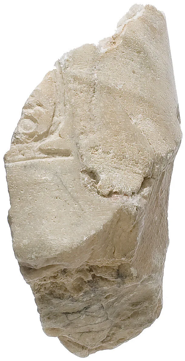 Arm, with garment, Aten cartouche — Unknown
