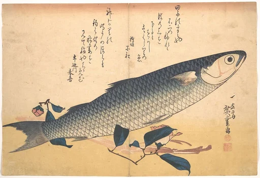 魚づくし ぼらにうど|Bora Fish with Camellia, from the series Uozukushi (Every Variety of Fish)
