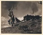 Soul of The Blasted Pine — Anne W. Brigman