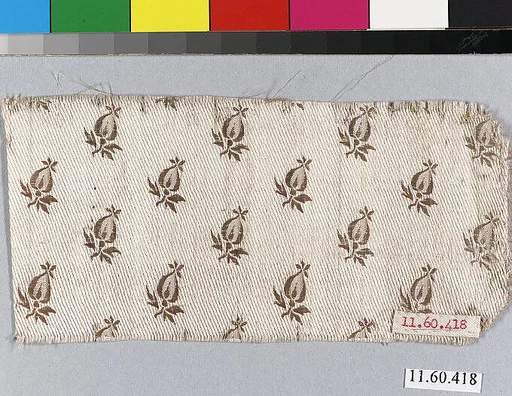 Fragment