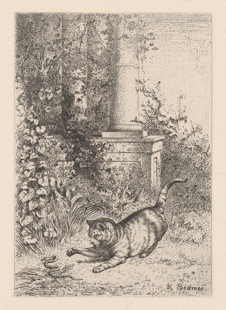A Domestic Cat Playing with a Garter Snake, from "Eaux-Fortes Animaux & Paysages" — Jules Géruzet|Bertauts|Karl Bodmer