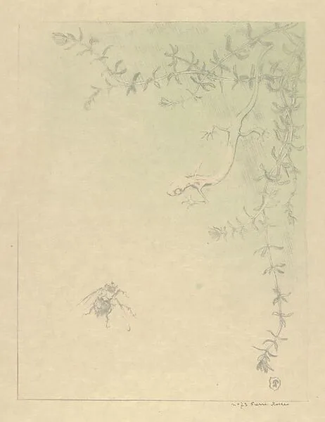 The Salamander (La Salamandre) — André Marty|Pierre Roche (pseudonym of Fernand Massignon)