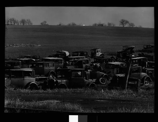 [Junked Automobiles in Field, Near Easton, Pennsylvania]