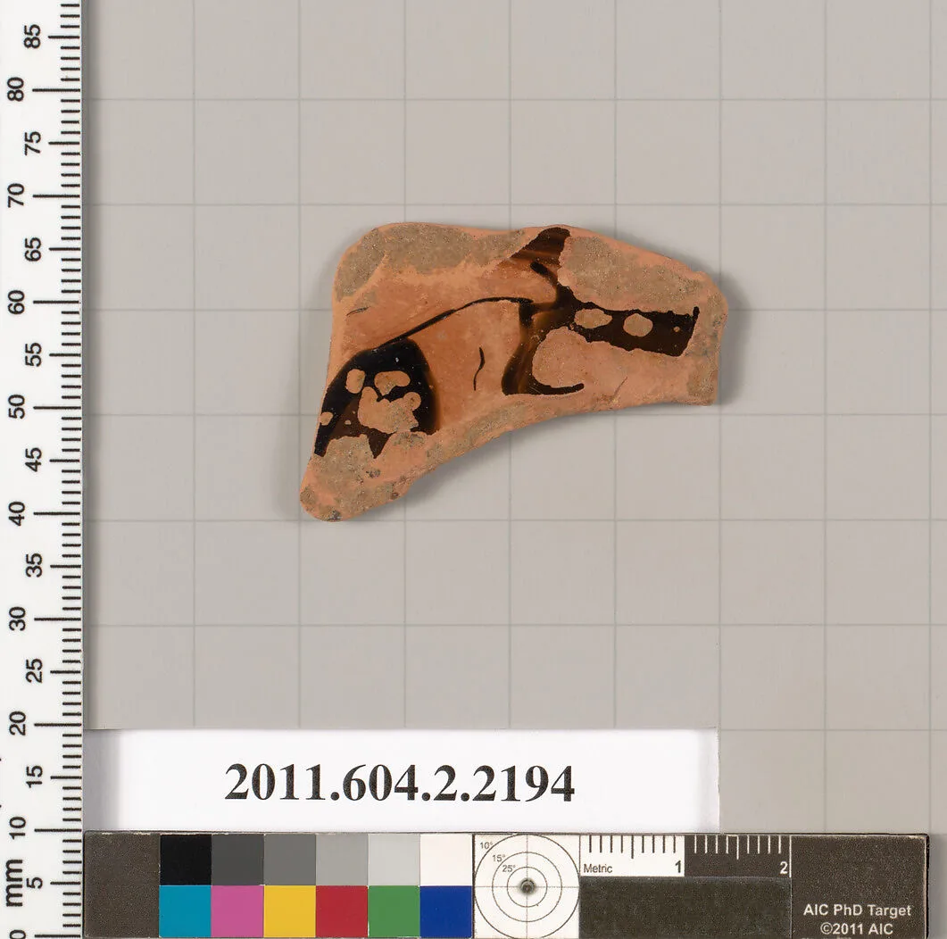 Terracotta fragment of a pot; unglazed on the inside — Unknown
