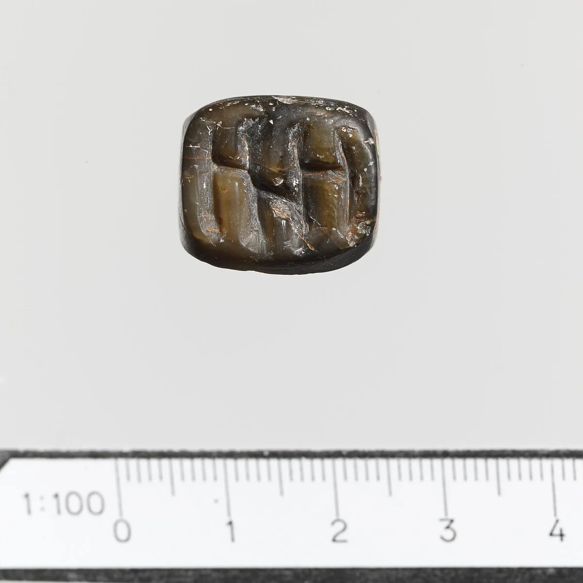 Seal — Unknown