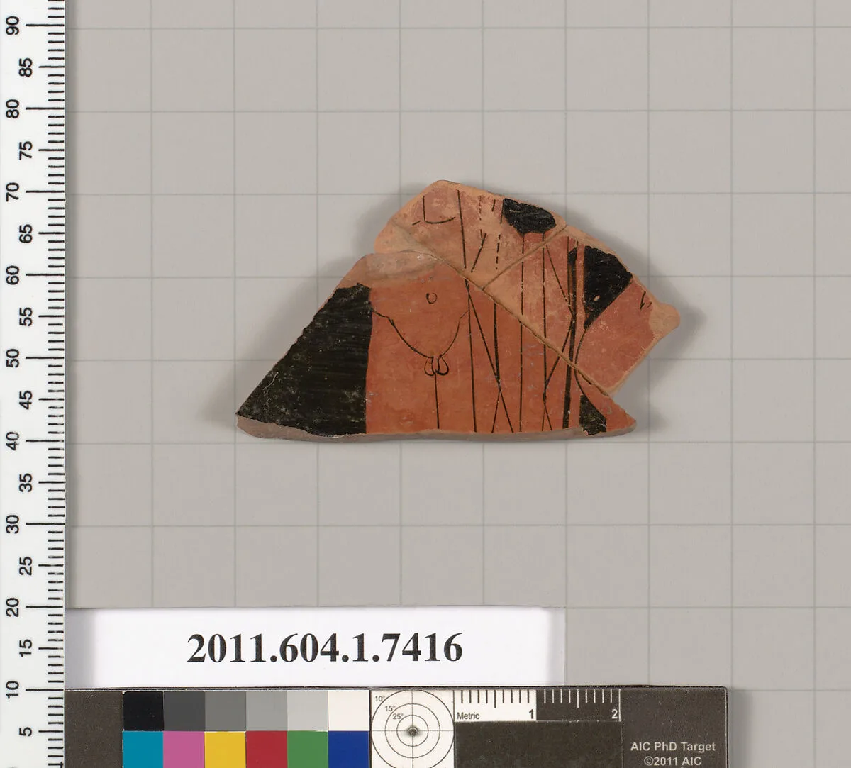 Terracotta fragment of a kylix (drinking cup) — Unknown