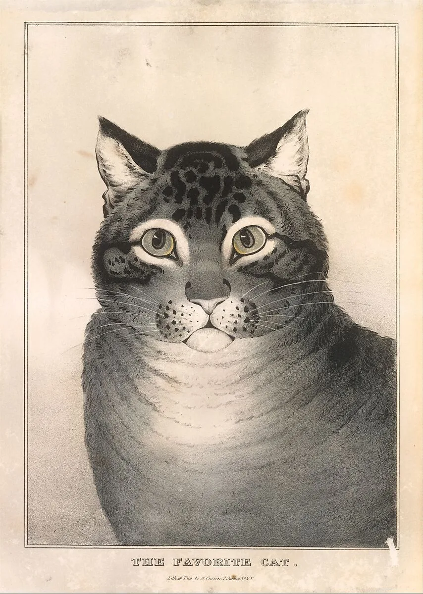 The Favorite Cat — Nathaniel Currier