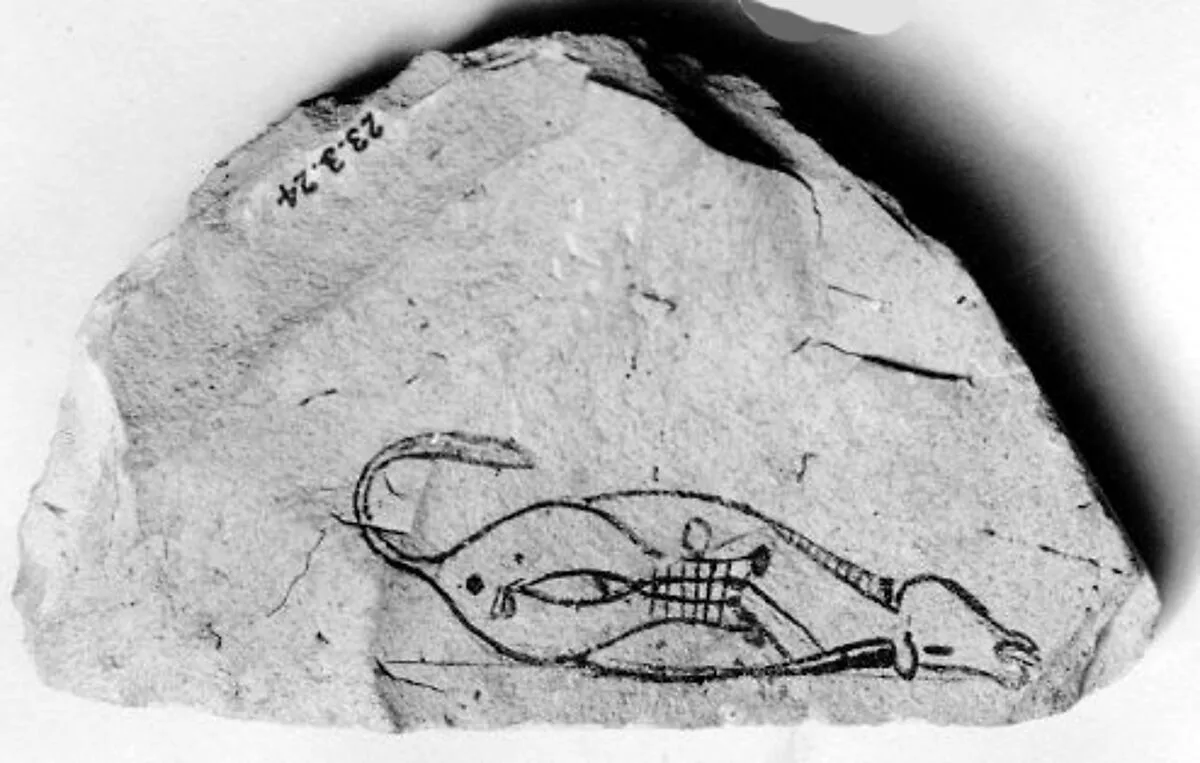 Ostracon — Unknown