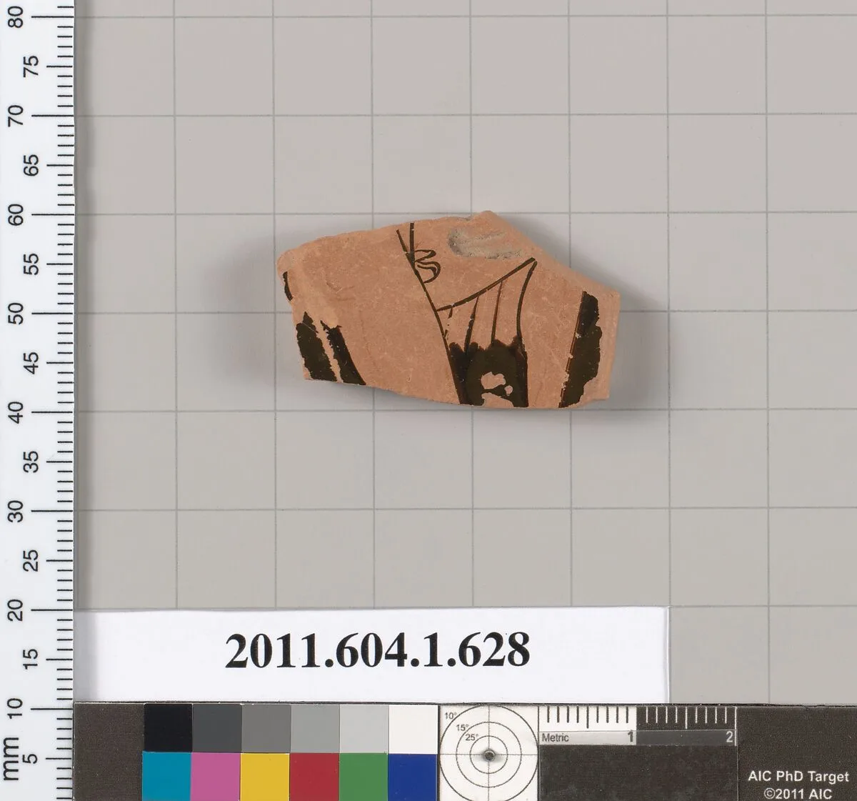 Terracotta fragment of a kylix (drinking cup) — Unknown