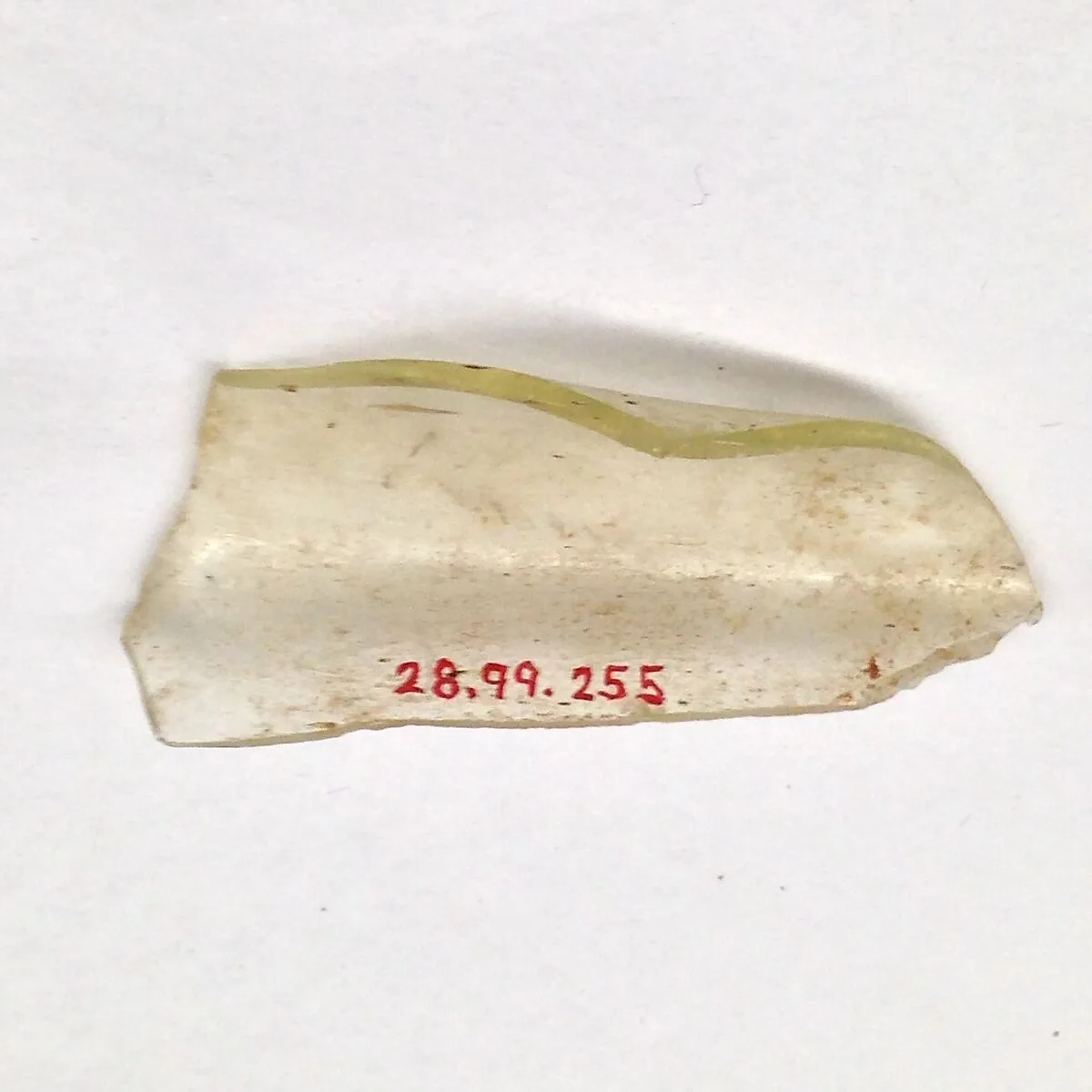Fragment — Unknown