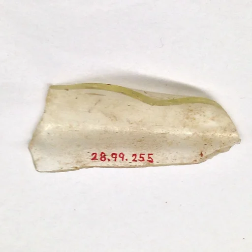 Fragment