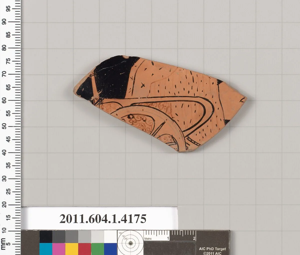 Terracotta fragment of a kylix (drinking cup) — Unknown