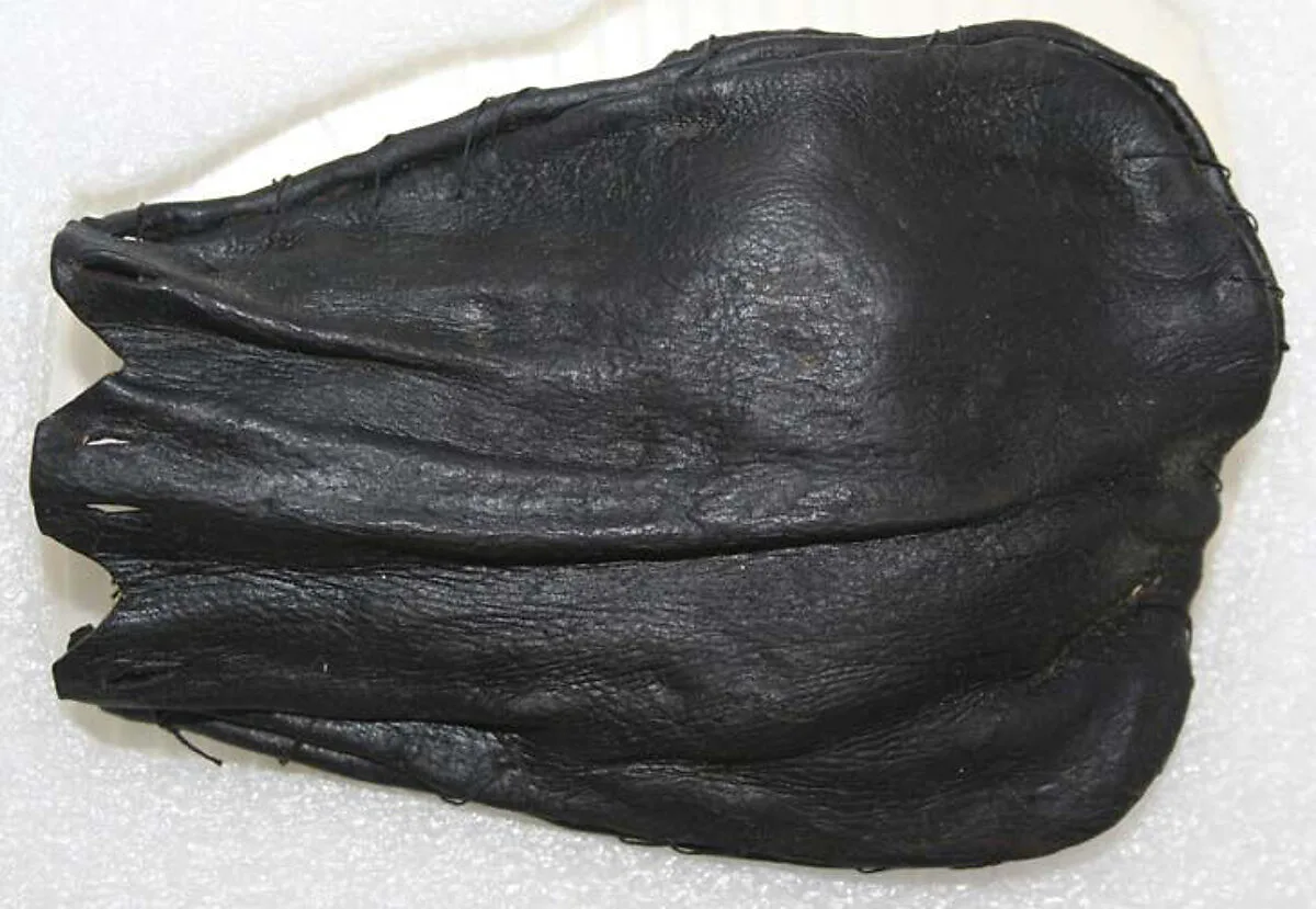 Purse — Unknown