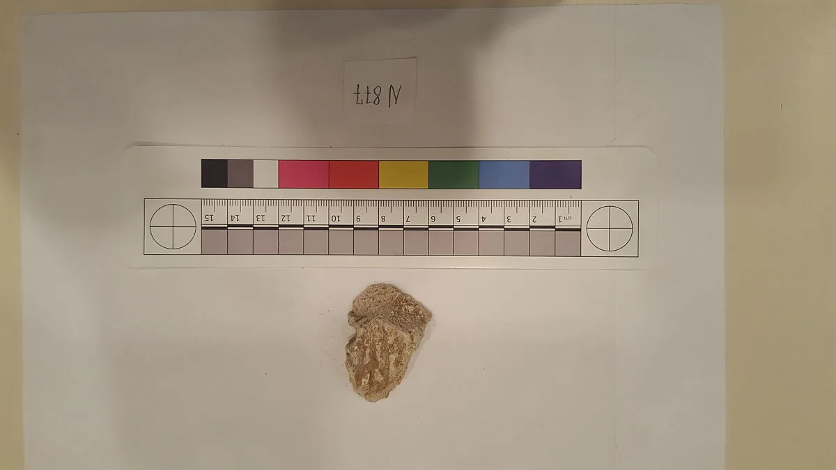 Stucco Fragment — Unknown