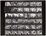 [Contact Sheet from Canadian Assignment]