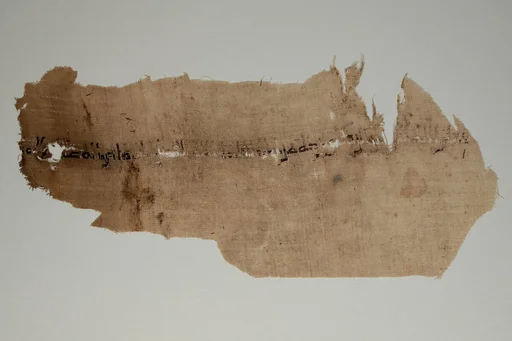 Textile Fragment