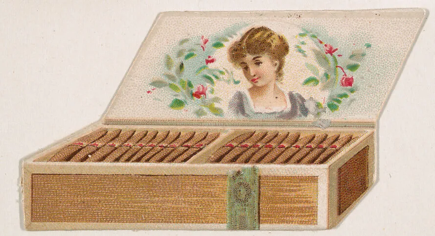 Cigar box, from the Novelties series (N228, Type 3) issued by Kinney Bros. — Kinney Brothers Tobacco Company