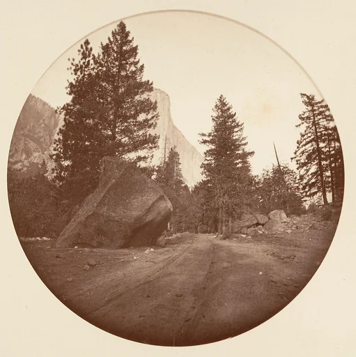 [Yosemite National Park, California]
