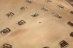 Desert Bloom 16