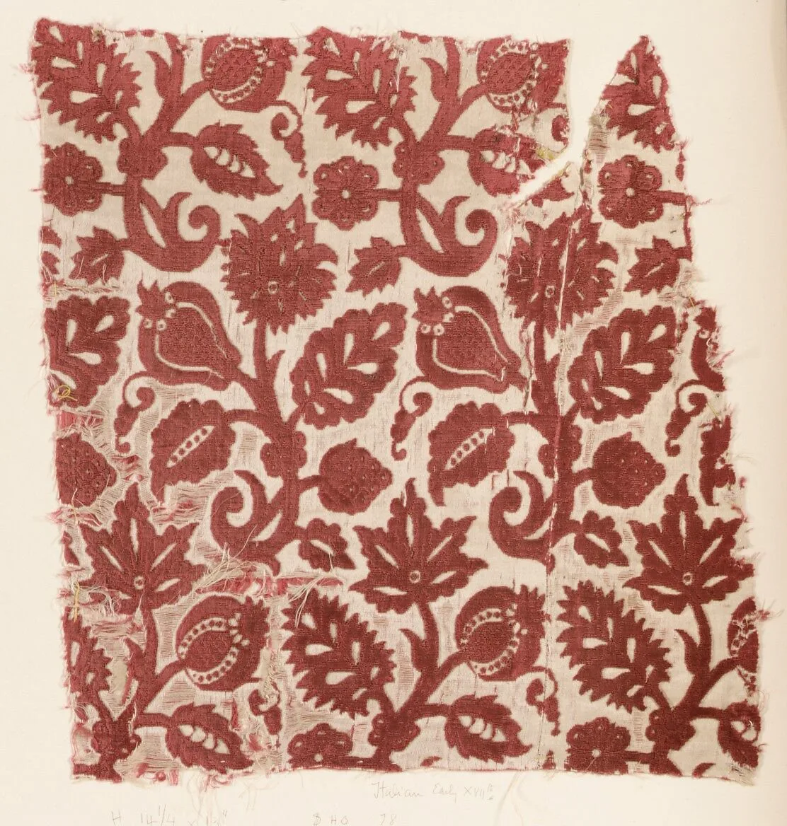 Fragment — Unknown