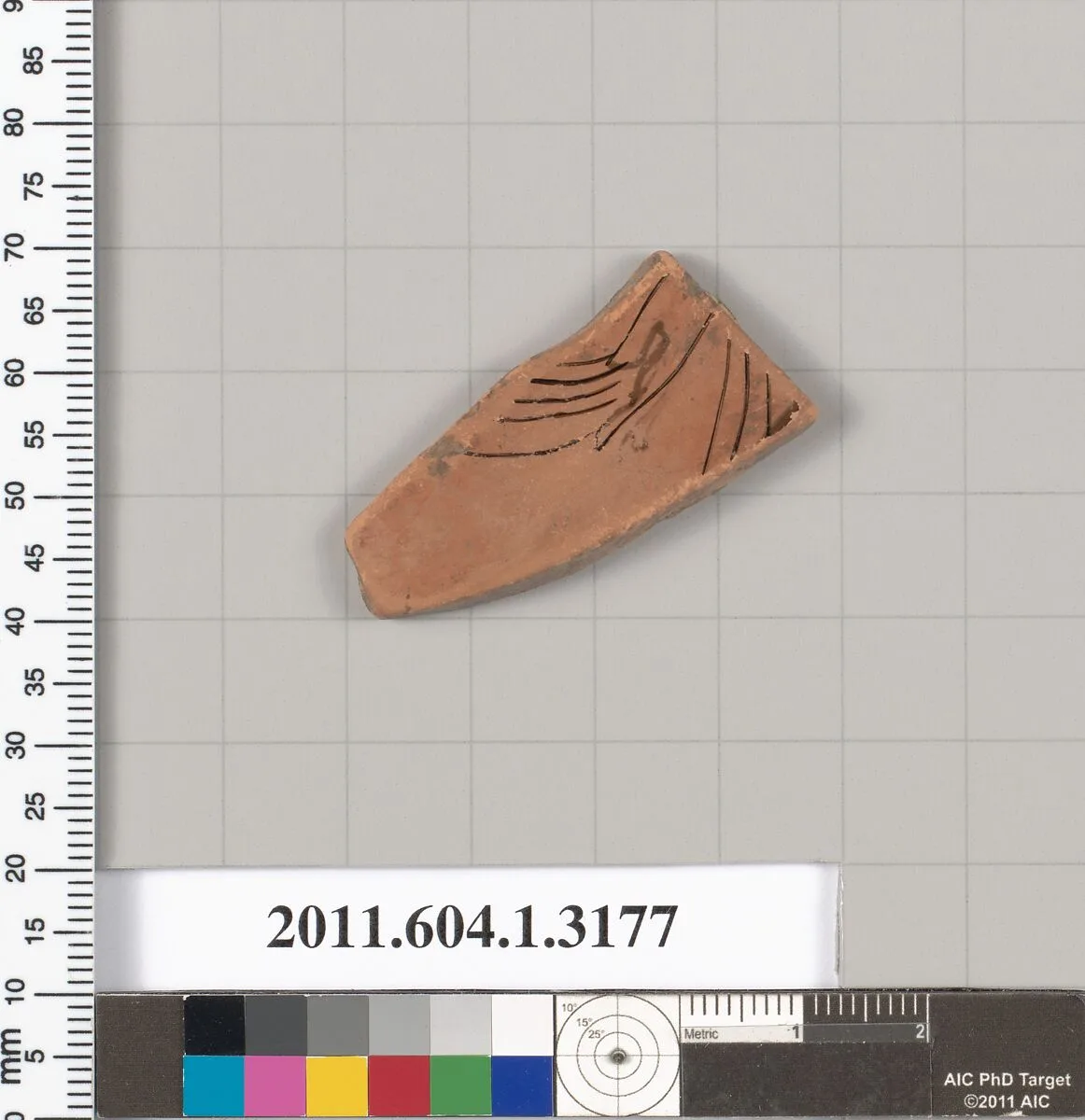 Terracotta fragment of a kylix (drinking cup) — Unknown