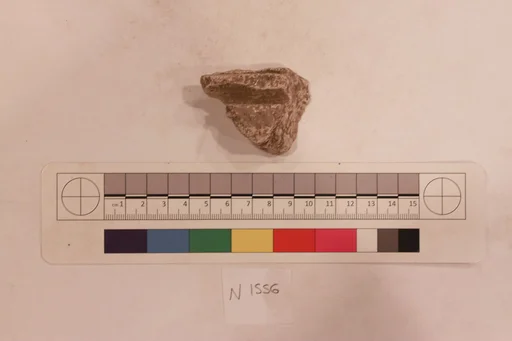 Stucco Fragment