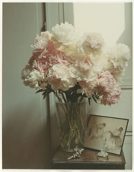 Peonies - New York — Peter Fink