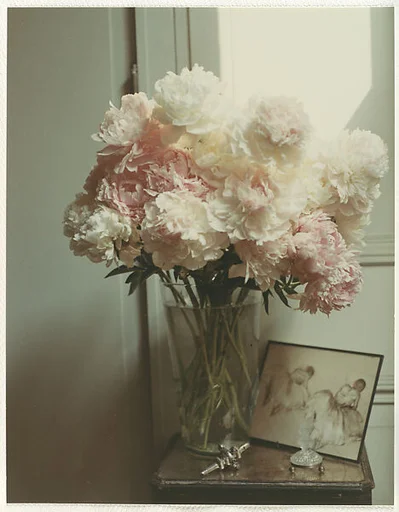 Peonies - New York