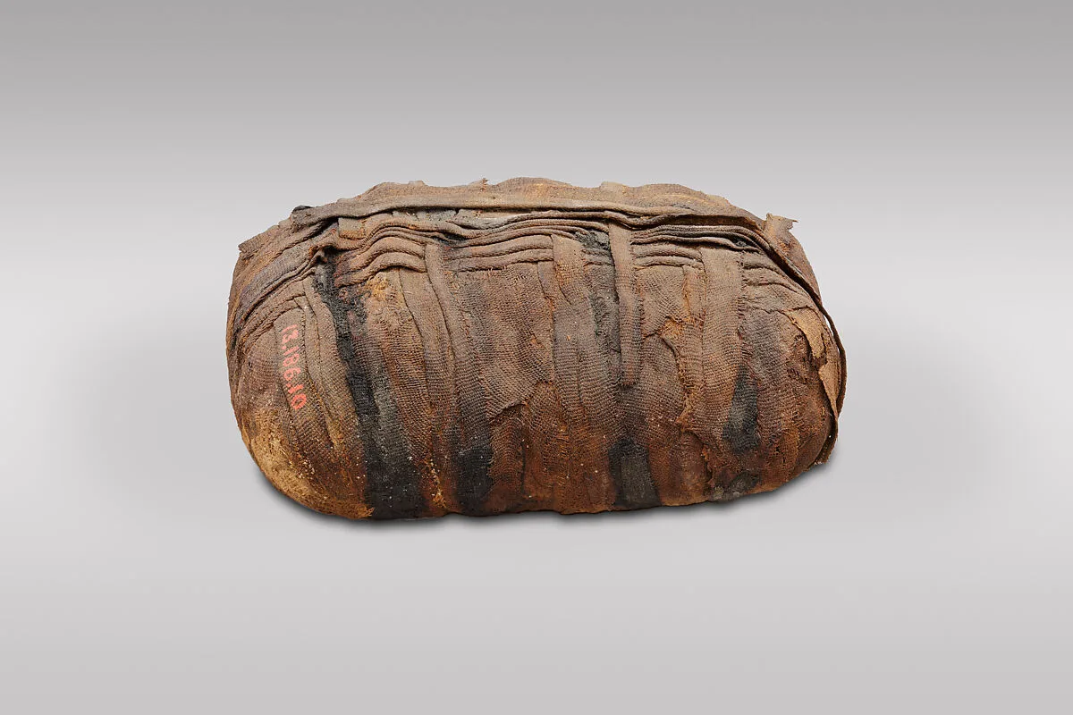 Sacred animal mummy bundle containing shrews — Unknown