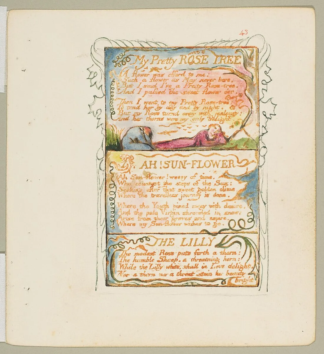 Songs of Experience: My Pretty Rose Tree, Ah! Sun-Flower, The Lilly — William Blake