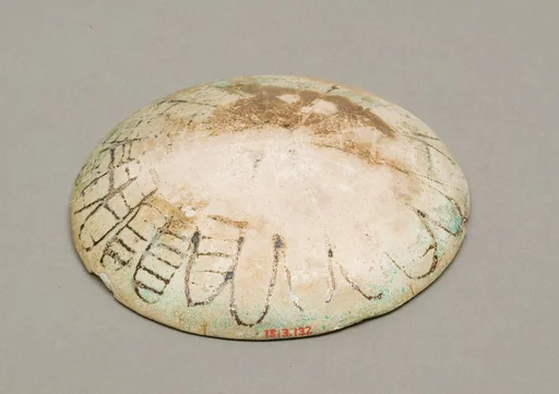 Lid for a Jar