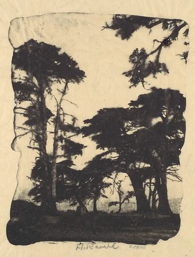 Cypress, Pebble Beach, California