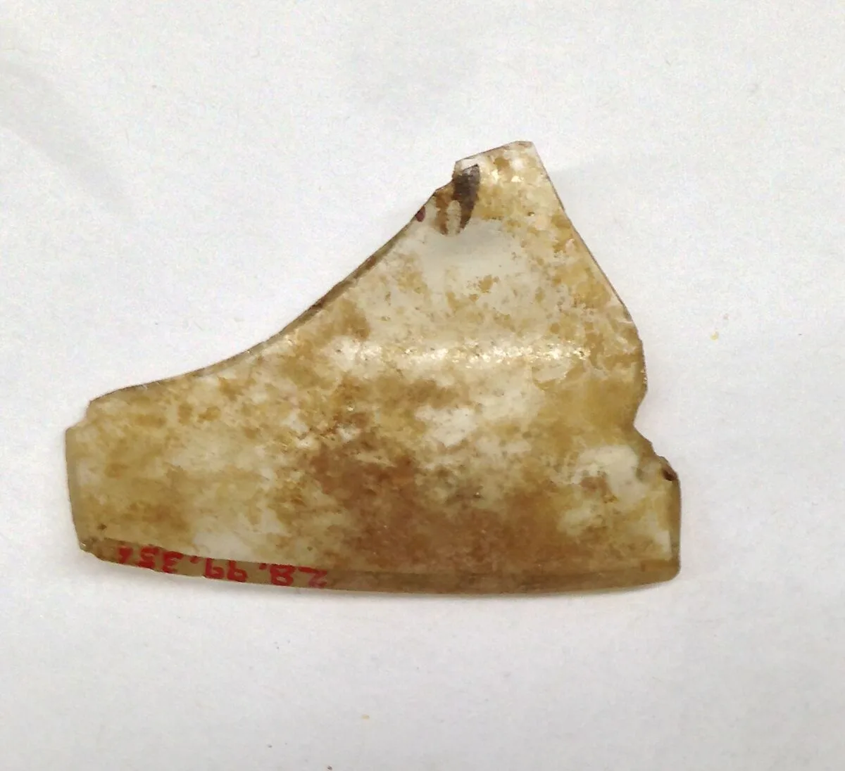 Fragment — Unknown