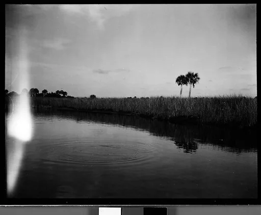 [Coastal Landscape, Florida]