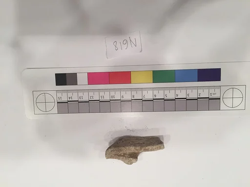 Stucco Fragment
