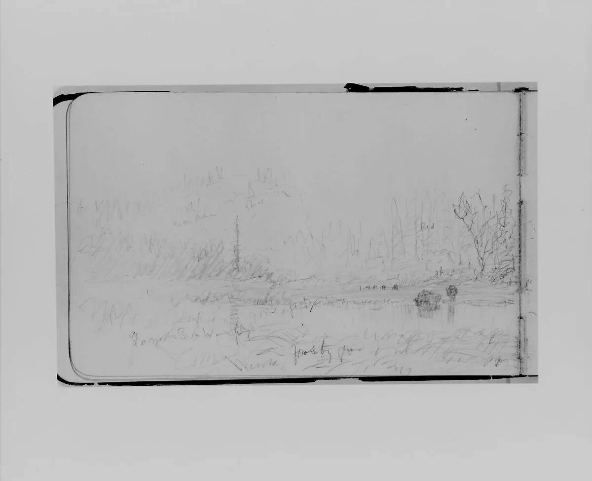 Pond and Wild Terrain, Autumn (from Sketchbook) — Albert Bierstadt