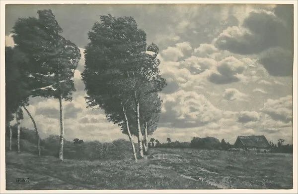 Landscape - Windy Weather — Heinrich Kühn