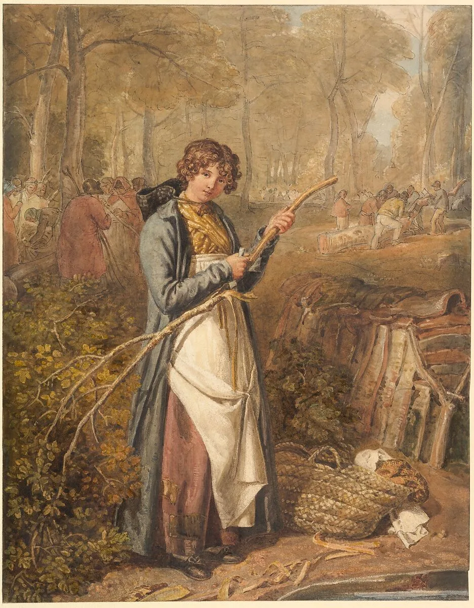 Barking Timber in Wychwood Forest, Oxfordshire — Joshua Cristall