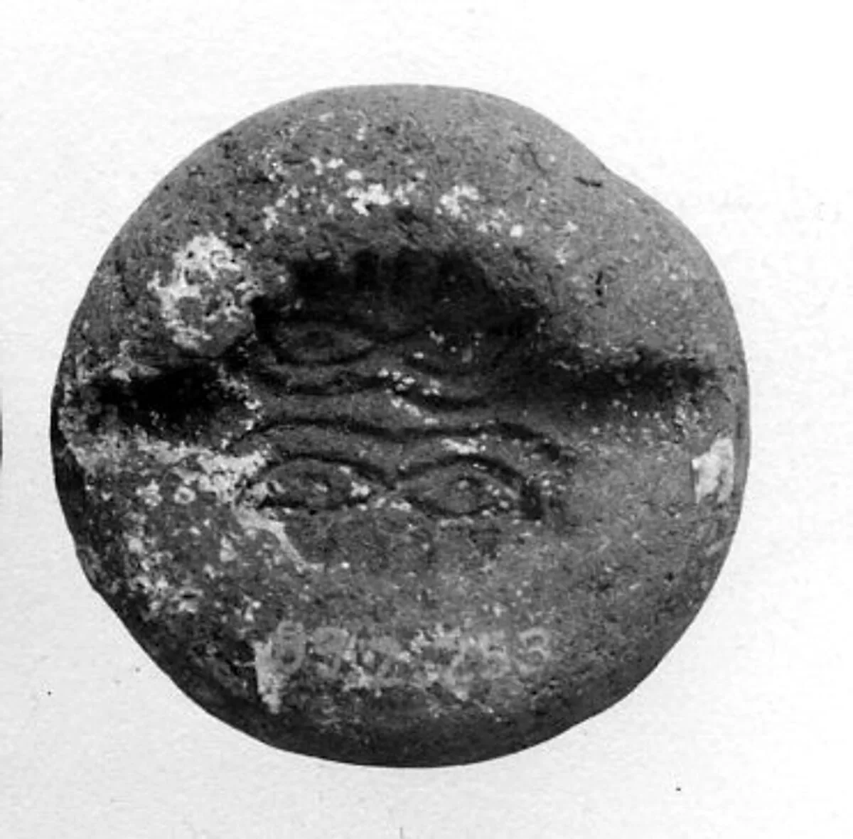 Mold — Unknown