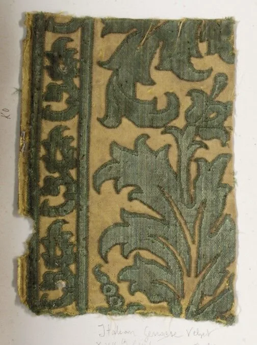 Fragment — Unknown