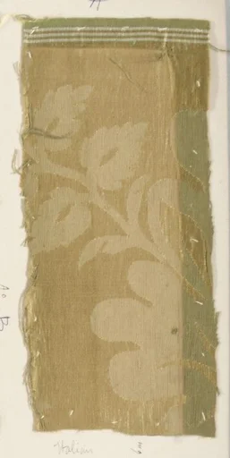 Fragment