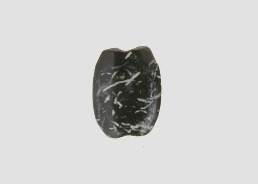 Bead