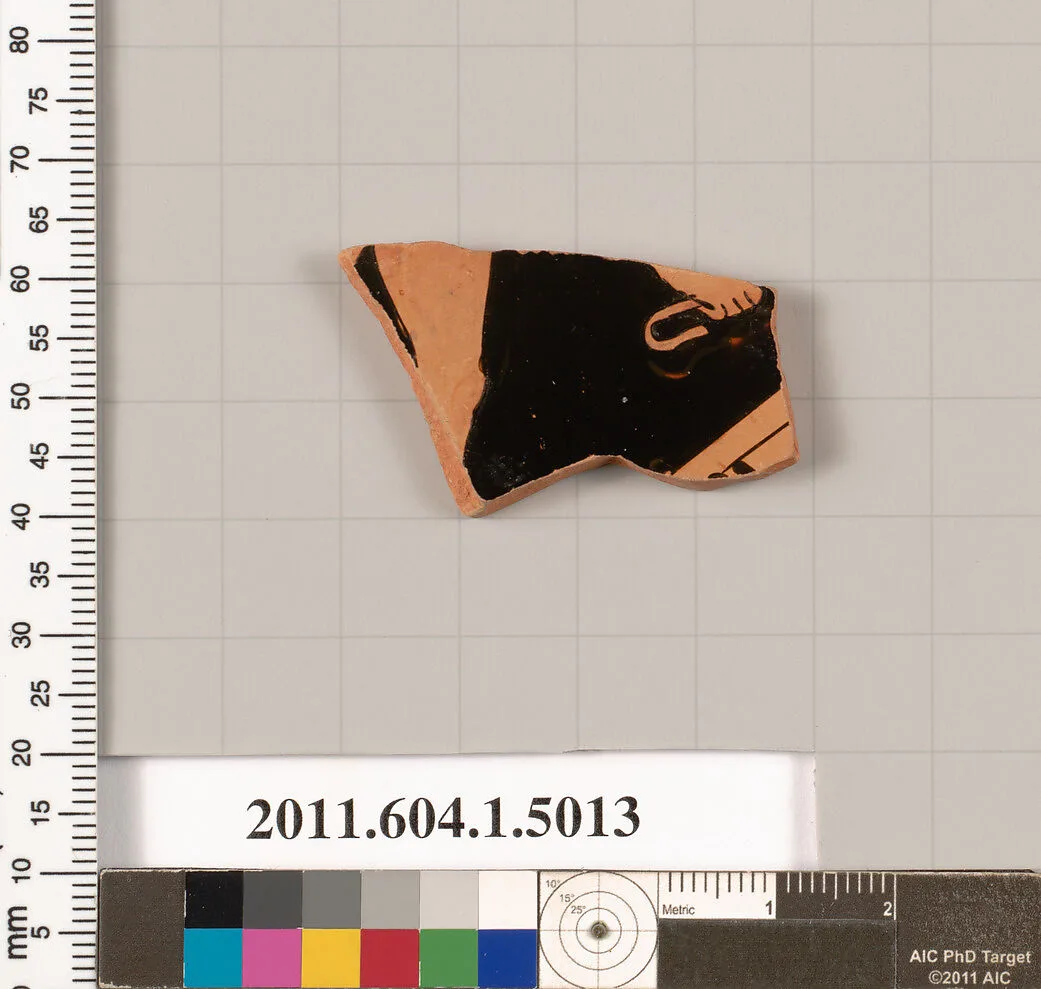 Terracotta fragment of a kylix (drinking cup) — Unknown