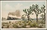 The "California Limited" on the Desert.