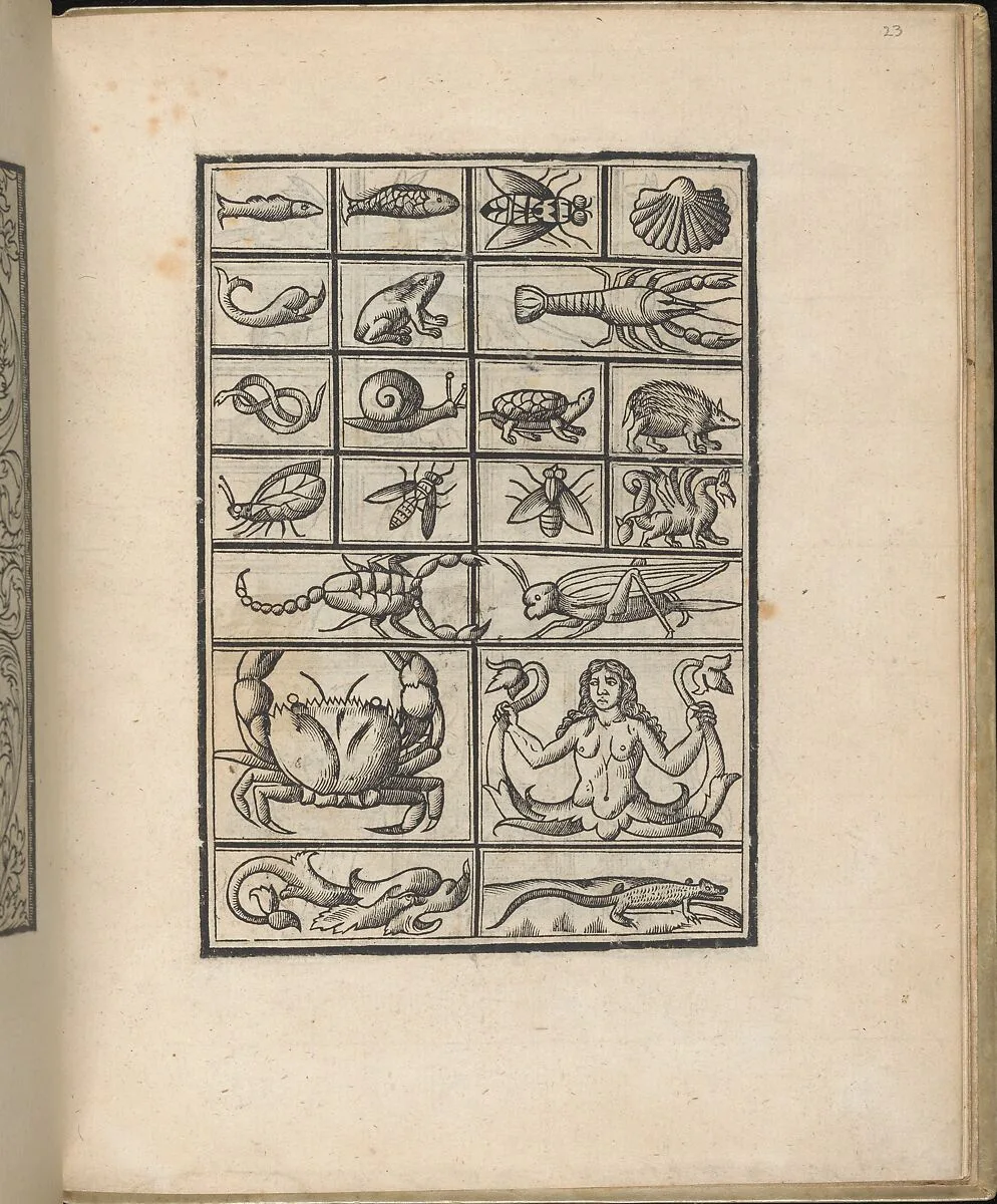 Trionfo Di Virtu. Libro Novo..., page 23 (verso) — Matteo Pagano