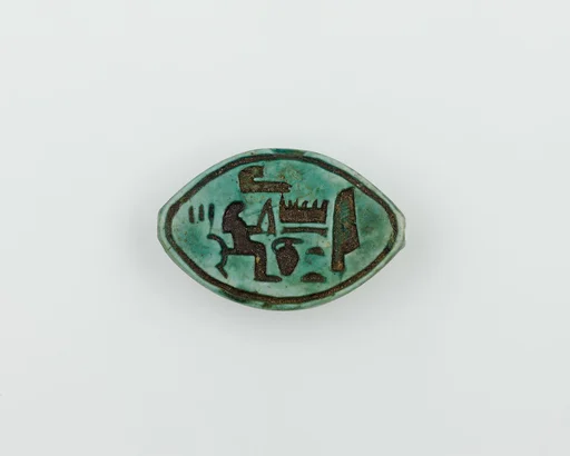 Cowroid with the Name and Image of Hatshepsut