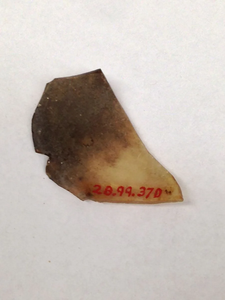 Fragment — Unknown