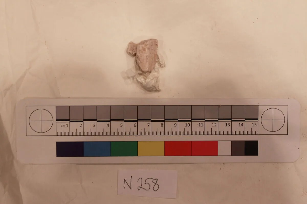 Stucco Fragment — Unknown