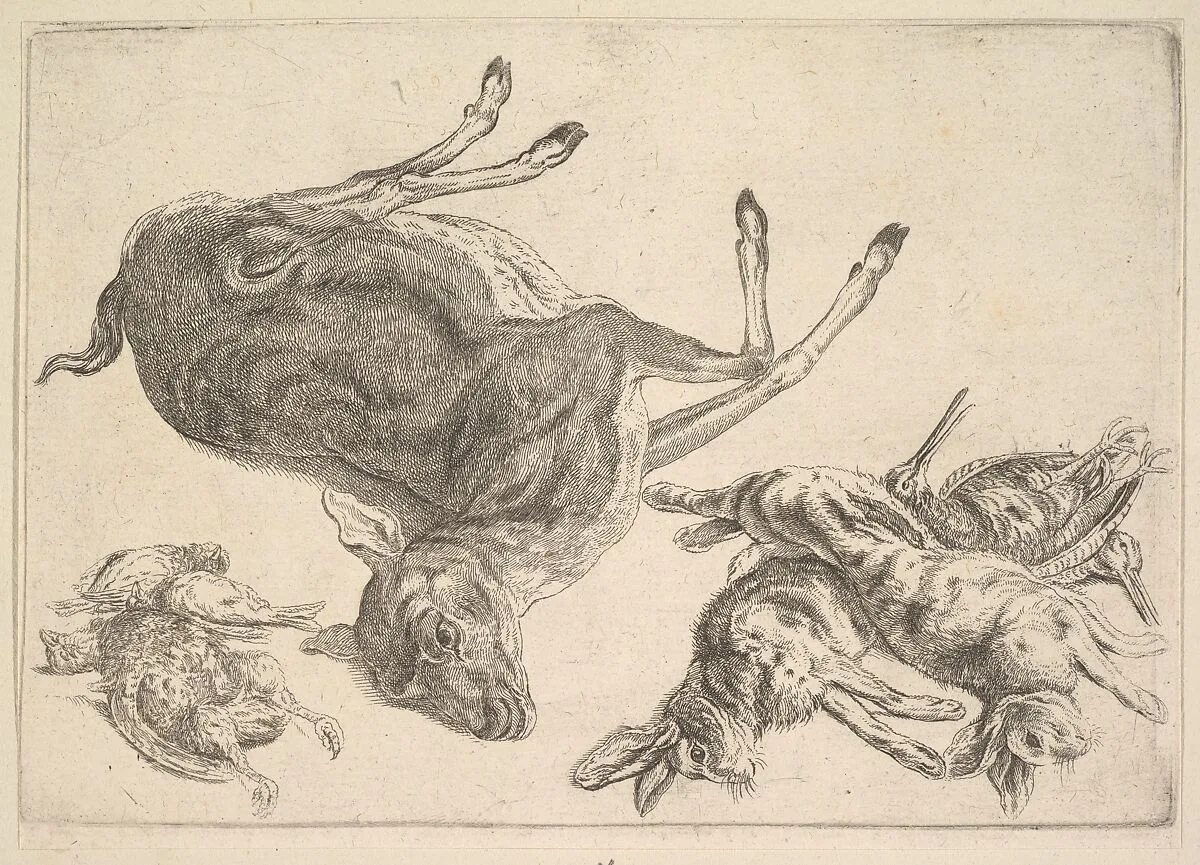Dead deer, hares and game — Wenceslaus Hollar
