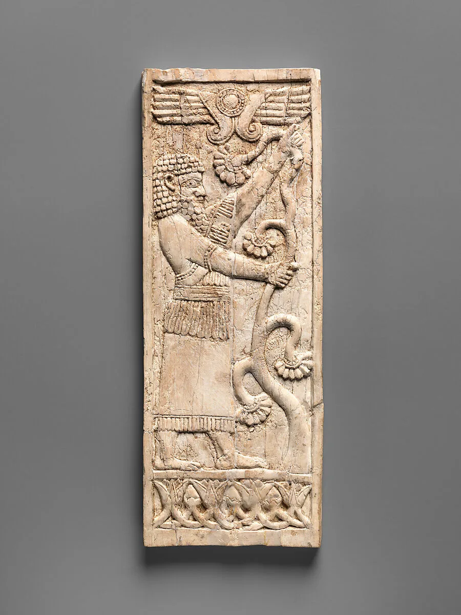 Panel — Unknown